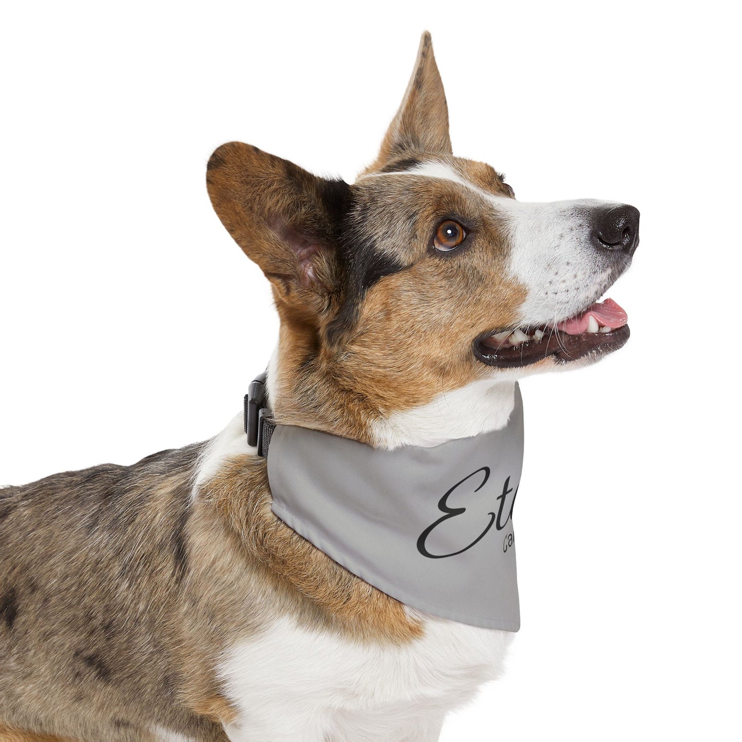 Stylish Pet Bandana Collar - Eternity Car Club Design for Dog Fashion Lovers