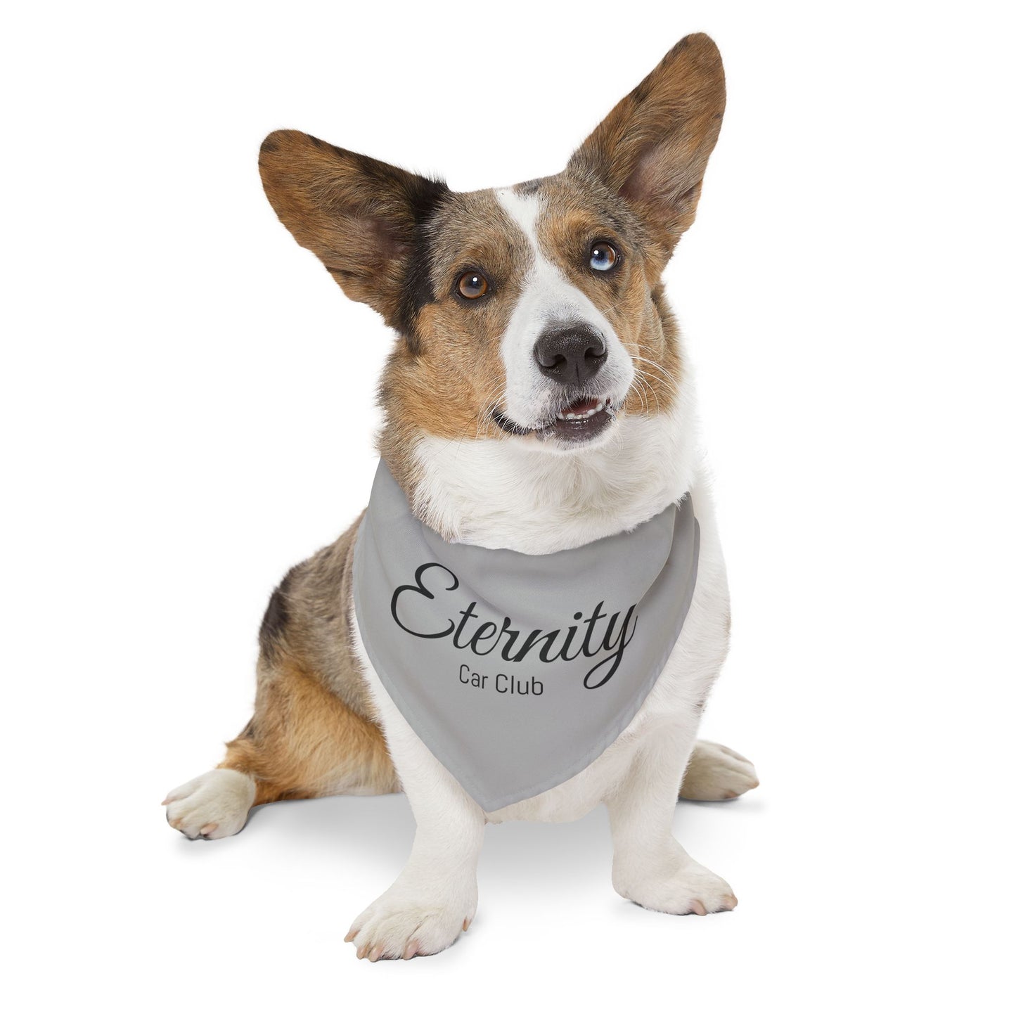 Stylish Pet Bandana Collar - Eternity Car Club Design for Dog Fashion Lovers